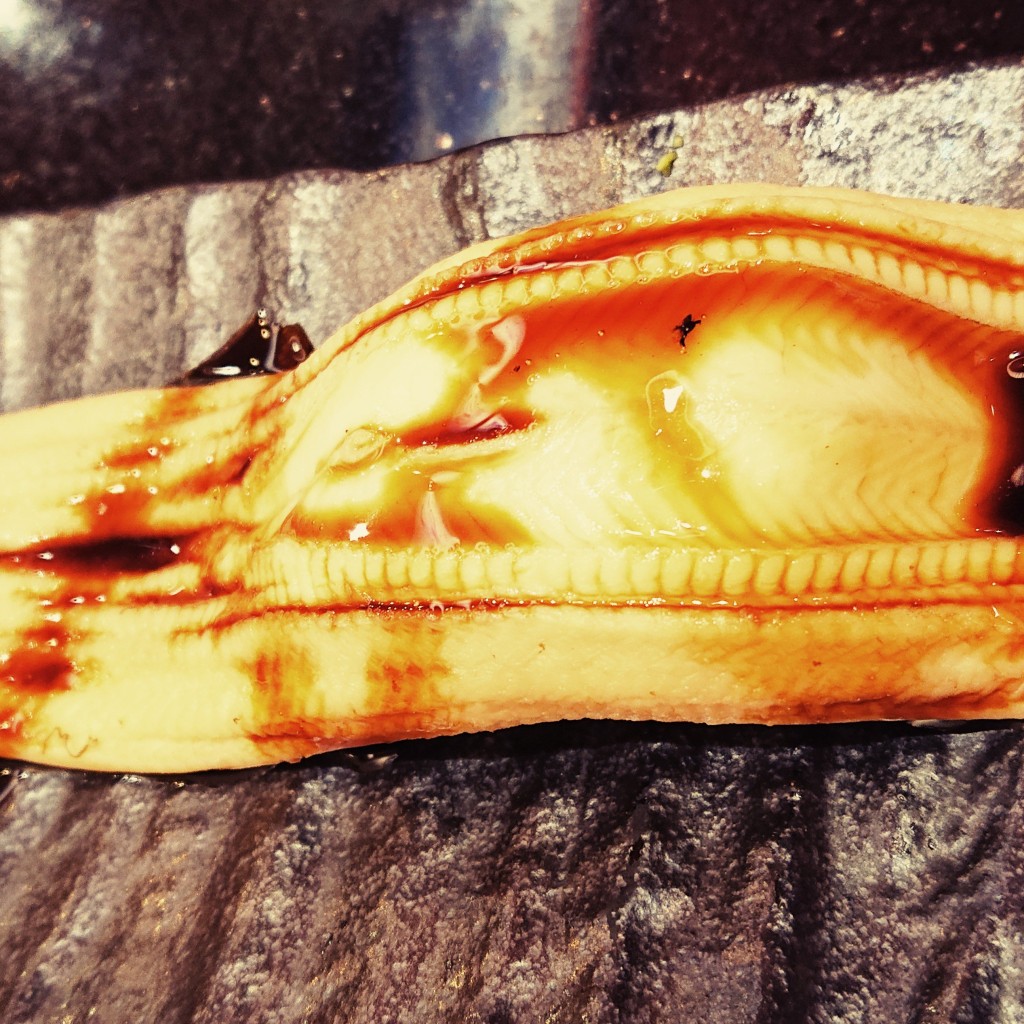 ユーザーが投稿した穴子の写真 - 実際訪問したユーザーが直接撮影して投稿した箕輪町回転寿司すし銚子丸 日吉店の写真