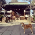 実際訪問したユーザーが直接撮影して投稿した西ケ原神社七社神社の写真