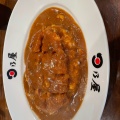 とんかつカレー - 実際訪問したユーザーが直接撮影して投稿した本郷カレー日乃屋 本郷三丁目店の写真のメニュー情報