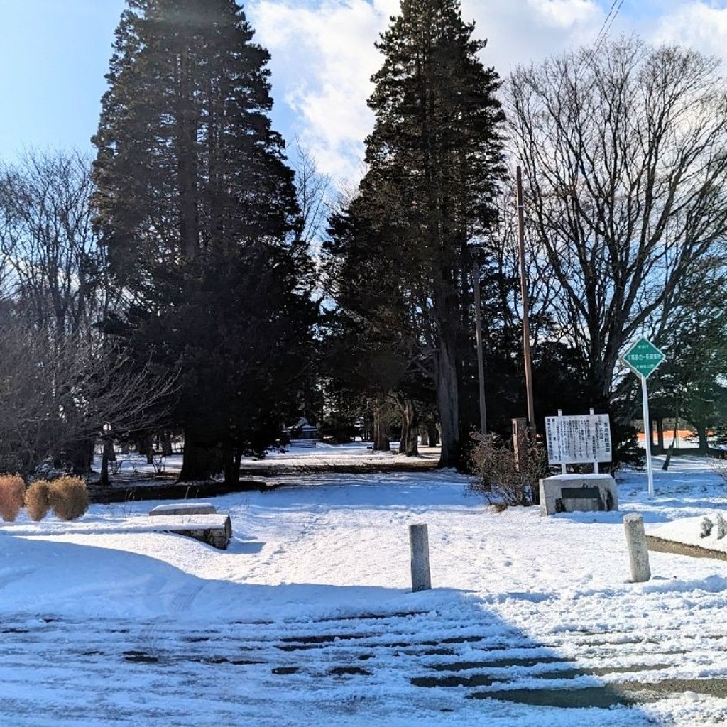 実際訪問したユーザーが直接撮影して投稿した上山口公園中恵庭公園の写真