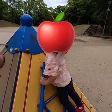 実際訪問したユーザーが直接撮影して投稿した石原公園熊本県民総合運動公園ちびっこ広場の写真