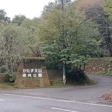 実際訪問したユーザーが直接撮影して投稿した西木町西明寺公園かたまえ山森林公園の写真