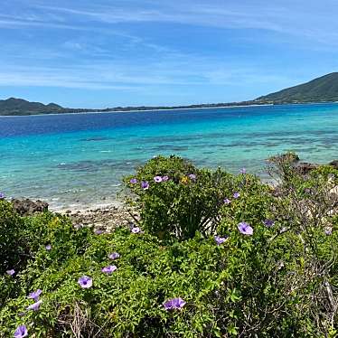 実際訪問したユーザーが直接撮影して投稿した芦徳海水浴場 / 海浜倉崎ビーチの写真