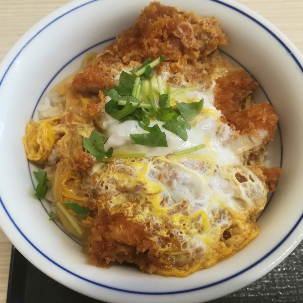 ユーザーが投稿したカツ丼(梅)の写真 - 実際訪問したユーザーが直接撮影して投稿した瑞江とんかつかつや 瑞江店の写真