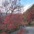 実際訪問したユーザーが直接撮影して投稿した西祖谷山村田ノ内滝 / 渓谷祖谷渓の写真