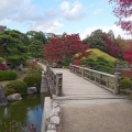 実際訪問したユーザーが直接撮影して投稿した百舌鳥夕雲町公園大仙公園の写真