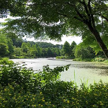 実際訪問したユーザーが直接撮影して投稿した発地植物園 / 樹木園軽井沢レイクガーデンの写真