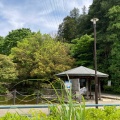 実際訪問したユーザーが直接撮影して投稿した王禅寺公園王禅寺ふるさと公園の写真