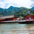 実際訪問したユーザーが直接撮影して投稿した宮島町神社厳島神社の写真