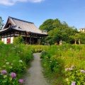 実際訪問したユーザーが直接撮影して投稿した般若寺町寺法性山 般若寺の写真