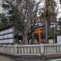 実際訪問したユーザーが直接撮影して投稿した旗の台神社旗岡八幡神社の写真