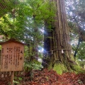 実際訪問したユーザーが直接撮影して投稿した佐田町須佐神社須佐神社の写真