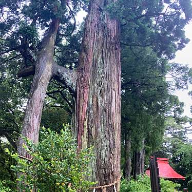 セリオン坊やさんが投稿した高舘吉田神社のお店熊野那智神社/クマノナチジンジャの写真