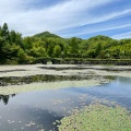 実際訪問したユーザーが直接撮影して投稿した発地植物園 / 樹木園軽井沢レイクガーデンの写真