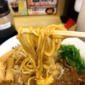 実際訪問したユーザーが直接撮影して投稿した徳命ラーメン / つけ麺徳島ラーメン奥屋 藍住本店の写真