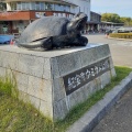 実際訪問したユーザーが直接撮影して投稿した井田道の駅道の駅 紀宝町ウミガメ公園の写真