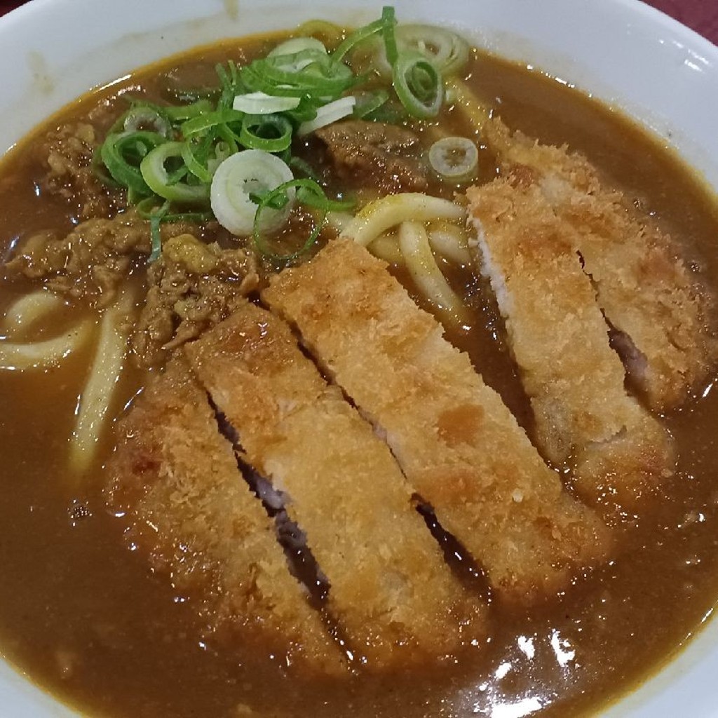 ユーザーが投稿したカツカレーうどんの写真 - 実際訪問したユーザーが直接撮影して投稿した野路うどん得得 草津店の写真