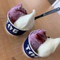 実際訪問したユーザーが直接撮影して投稿した六郷アイスクリームTiG misatoの写真