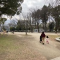 実際訪問したユーザーが直接撮影して投稿した栄公園白川公園の写真