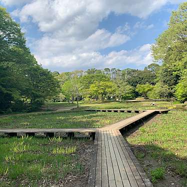 実際訪問したユーザーが直接撮影して投稿したおゆみ野中央公園泉谷公園の写真