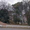 実際訪問したユーザーが直接撮影して投稿した三の丸公園清水橋街園の写真