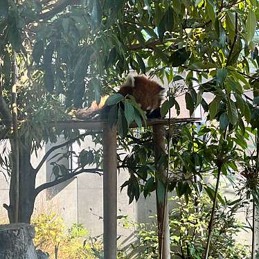 周南市徳山動物園のundefinedに実際訪問訪問したユーザーunknownさんが新しく投稿した新着口コミの写真