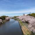 実際訪問したユーザーが直接撮影して投稿した品川町公園荒子川公園の写真