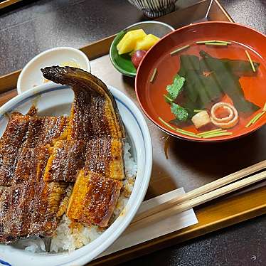 実際訪問したユーザーが直接撮影して投稿した八幡町島谷魚介 / 海鮮料理魚安の写真