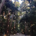 実際訪問したユーザーが直接撮影して投稿した宮中神社鹿島神宮の写真