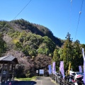 実際訪問したユーザーが直接撮影して投稿した土田山 / 峠鳩吹山の写真