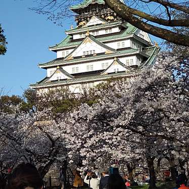 大阪城公園のundefinedに実際訪問訪問したユーザーunknownさんが新しく投稿した新着口コミの写真