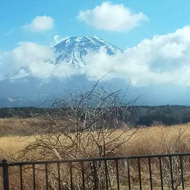 富士山のundefinedに実際訪問訪問したユーザーunknownさんが新しく投稿した新着口コミの写真