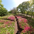 実際訪問したユーザーが直接撮影して投稿した百舌鳥夕雲町公園大仙公園の写真