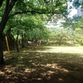 実際訪問したユーザーが直接撮影して投稿した花崎町公園花崎町公園の写真