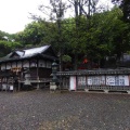 実際訪問したユーザーが直接撮影して投稿した東陽神社鬪鷄神社の写真