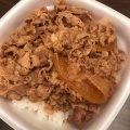 牛丼並弁当 - 実際訪問したユーザーが直接撮影して投稿した南水元牛丼すき家 葛飾南水元店の写真のメニュー情報