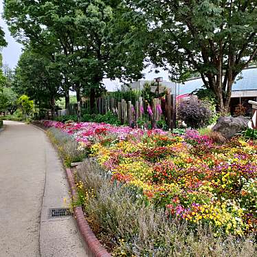 実際訪問したユーザーが直接撮影して投稿した名城公園名城公園の写真