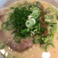 実際訪問したユーザーが直接撮影して投稿した向島西堤町ラーメン / つけ麺太陽軒の写真