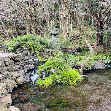 実際訪問したユーザーが直接撮影して投稿した宮町湖沼 / 池湧玉池の写真