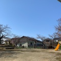 実際訪問したユーザーが直接撮影して投稿した平京田公園ひまわり公園の写真