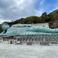 実際訪問したユーザーが直接撮影して投稿した篠栗地域名所南蔵院涅槃像の写真