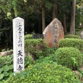 実際訪問したユーザーが直接撮影して投稿した天徳寺寺天徳寺の写真