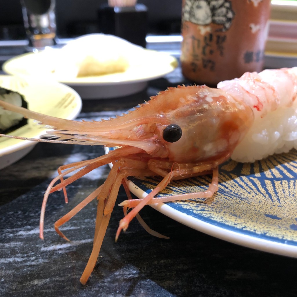 ユーザーが投稿した鮮魚の写真 - 実際訪問したユーザーが直接撮影して投稿した堺魚介 / 海鮮料理もとやの写真