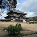 実際訪問したユーザーが直接撮影して投稿した雑司町寺東大寺の写真