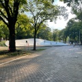 実際訪問したユーザーが直接撮影して投稿した大通西公園プレイスロープの写真