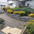 実際訪問したユーザーが直接撮影して投稿した北沢公園えごのき広場の写真