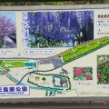 実際訪問したユーザーが直接撮影して投稿した大三島町宮浦公園大三島藤公園の写真