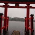 実際訪問したユーザーが直接撮影して投稿した元箱根歴史的建造物箱根神社 平和の鳥居の写真