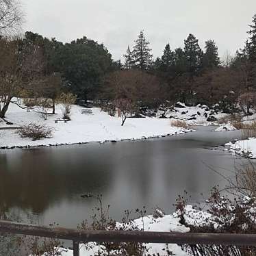 実際訪問したユーザーが直接撮影して投稿した緑町公園こもれびの池の写真