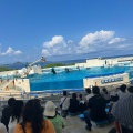 実際訪問したユーザーが直接撮影して投稿した石川水族館 / アクアリウムオキちゃん劇場の写真